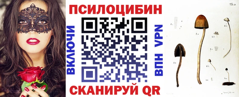 Купить закладки  Весьегонск  Псилоцибиновые грибы GOLDEN TEACHER 